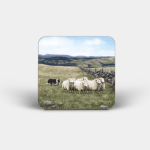 Sheep and Sheepdog Printed Square Coaster