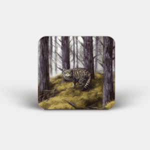 Wildcat Printed Square Coaster