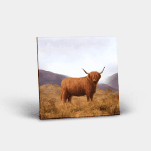 Ceramic Tile Printed with Highland Cow Design