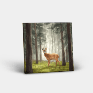 Ceramic Tile Printed with Roe Buck Design