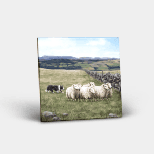 Ceramic Tile Printed with Sheep and Sheepdog Design