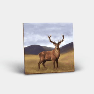 Ceramic Tile Printed with Stag Design