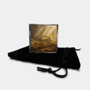 Common Carp Square Pill Box