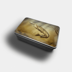 The-Ginger-Coo-Custom-Personalised-Rectangular-Tin-Pike-Freshwater-Fishing-Gift-Idea-Printed-Tin-Biscuit-Sweets-Storage