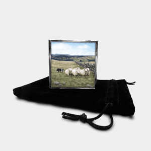 Sheep & Sheepdog Square Pill Box