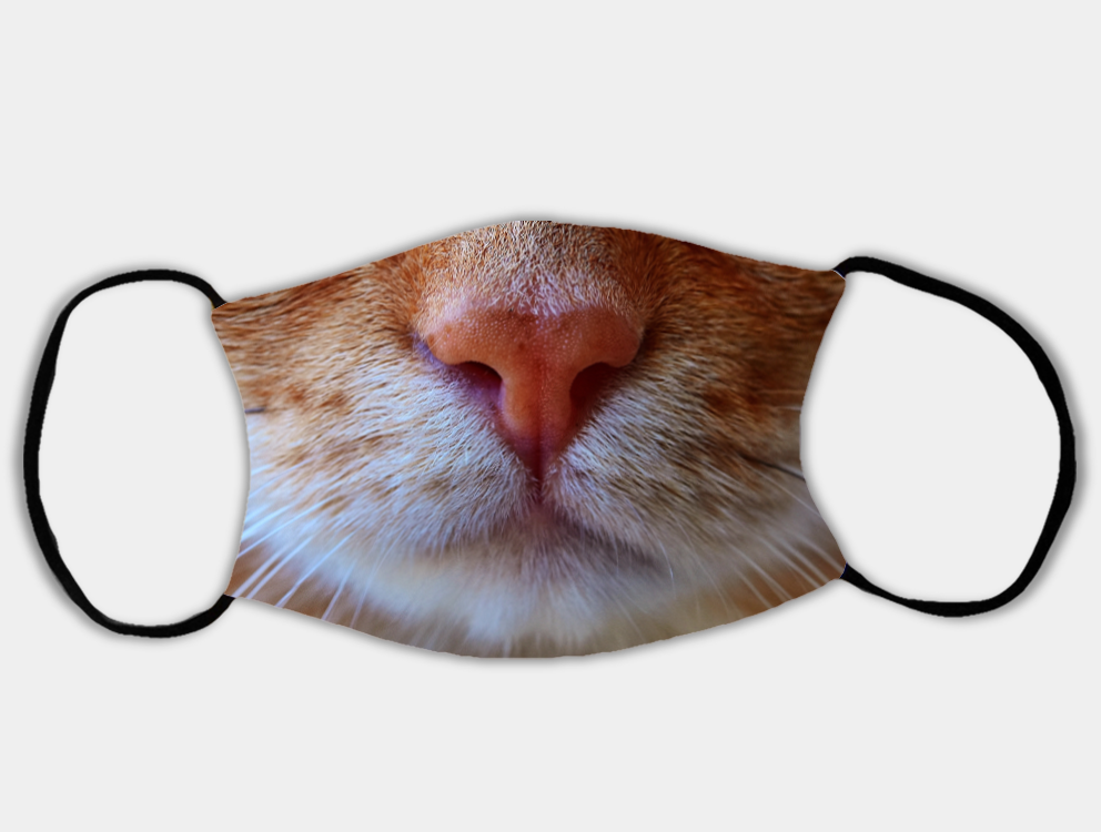 Cat Face Mask with 2 x PM2.5 Filters