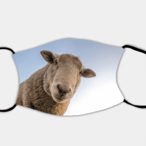 The Curious Sheep Face Mask with 2 x PM2.5 Filters
