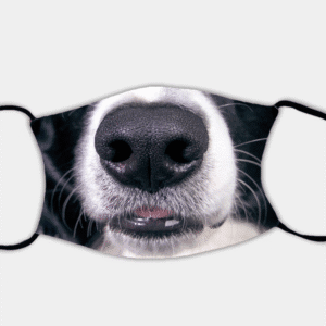 Border Collie Face Mask with 2 x PM2.5 Filters