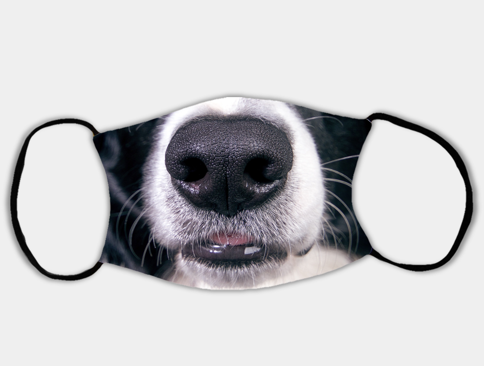 Border Collie Face Mask with 2 x PM2.5 Filters