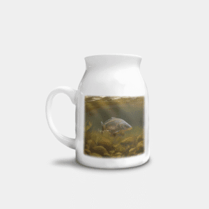 The-Ginger-Coo-Personalised-Printed-Custom-Milk-Jugs-Mirror-Carp-Angling-Angler-Fishing-Gifts-1