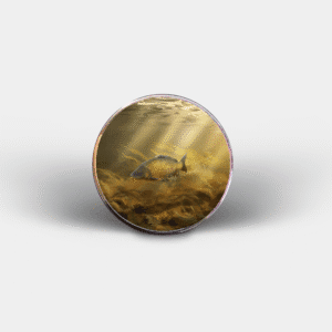 Common Carp Circular Fridge Magnet